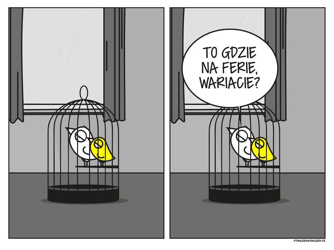 79b8f436-55b2-4aa8-930c-75d0d106ae08