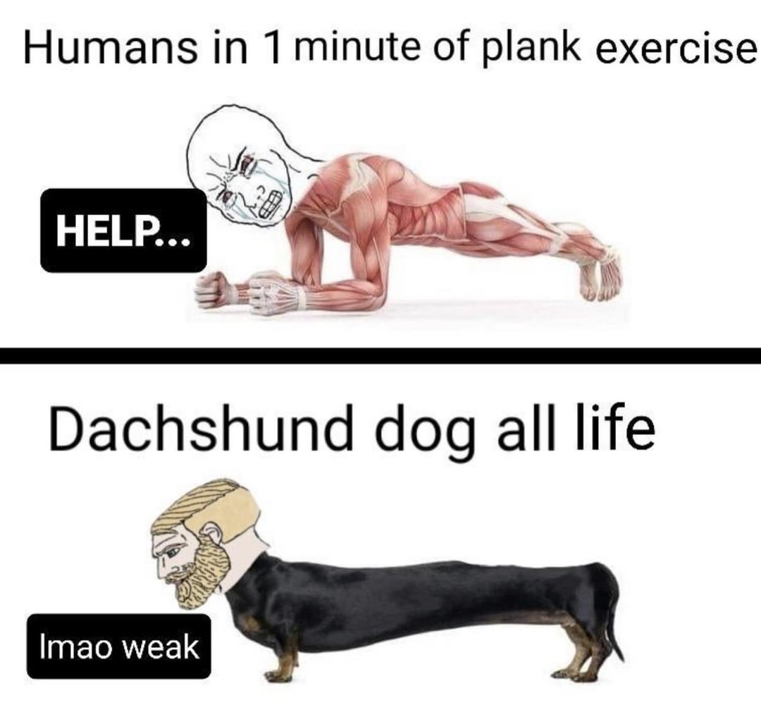 70bfe229-c605-4f77-a3e6-cbb0db9dfe6d