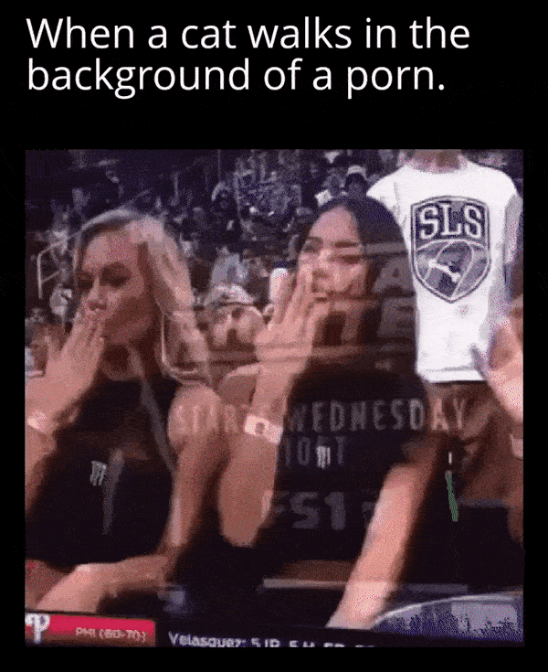 f5d9363b-1f4d-4804-b78e-36d99d88d7a1