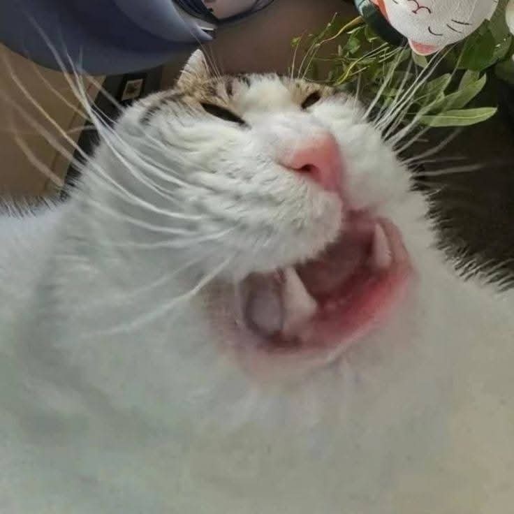 87b3c300-d74f-4658-8249-c64be94948b0