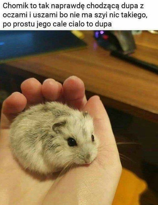 a9803958-d88c-4068-b2c4-689126cedded