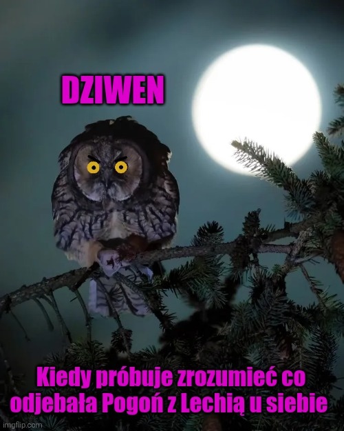 cb67fd50-6e47-414e-9c92-580feb4377c1