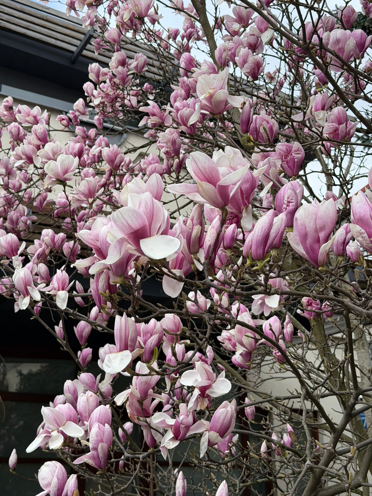 3f04e369-c78c-47a2-b25b-e2f0d1f96181