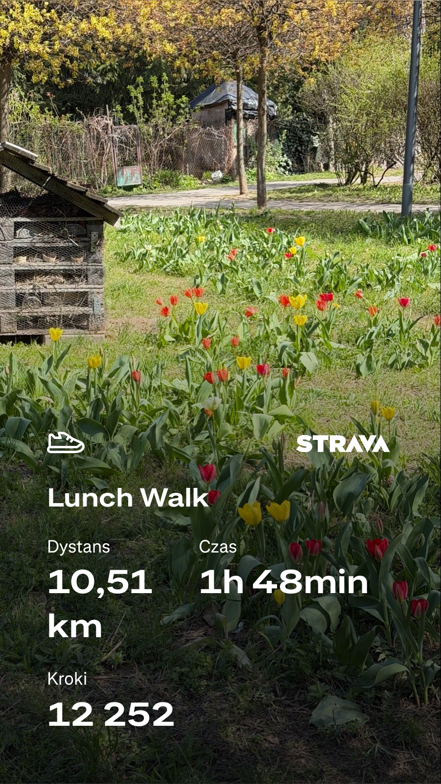 8529b6bc-33d1-43f5-a959-002c5c2df3ea