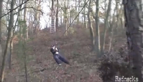 f2a76379-8d80-4157-abd2-336dc27afec2