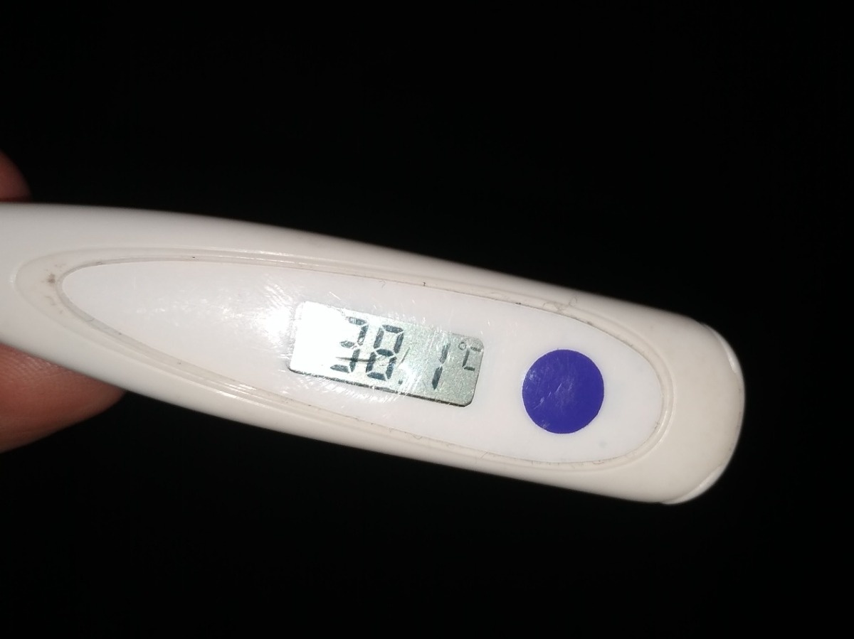 0e501f66-7627-4c9c-8889-75bfc0eec550