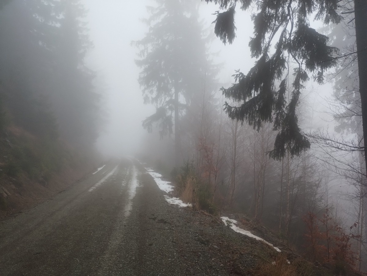 9e9f52f2-3e70-4079-baa9-ca91e648d692