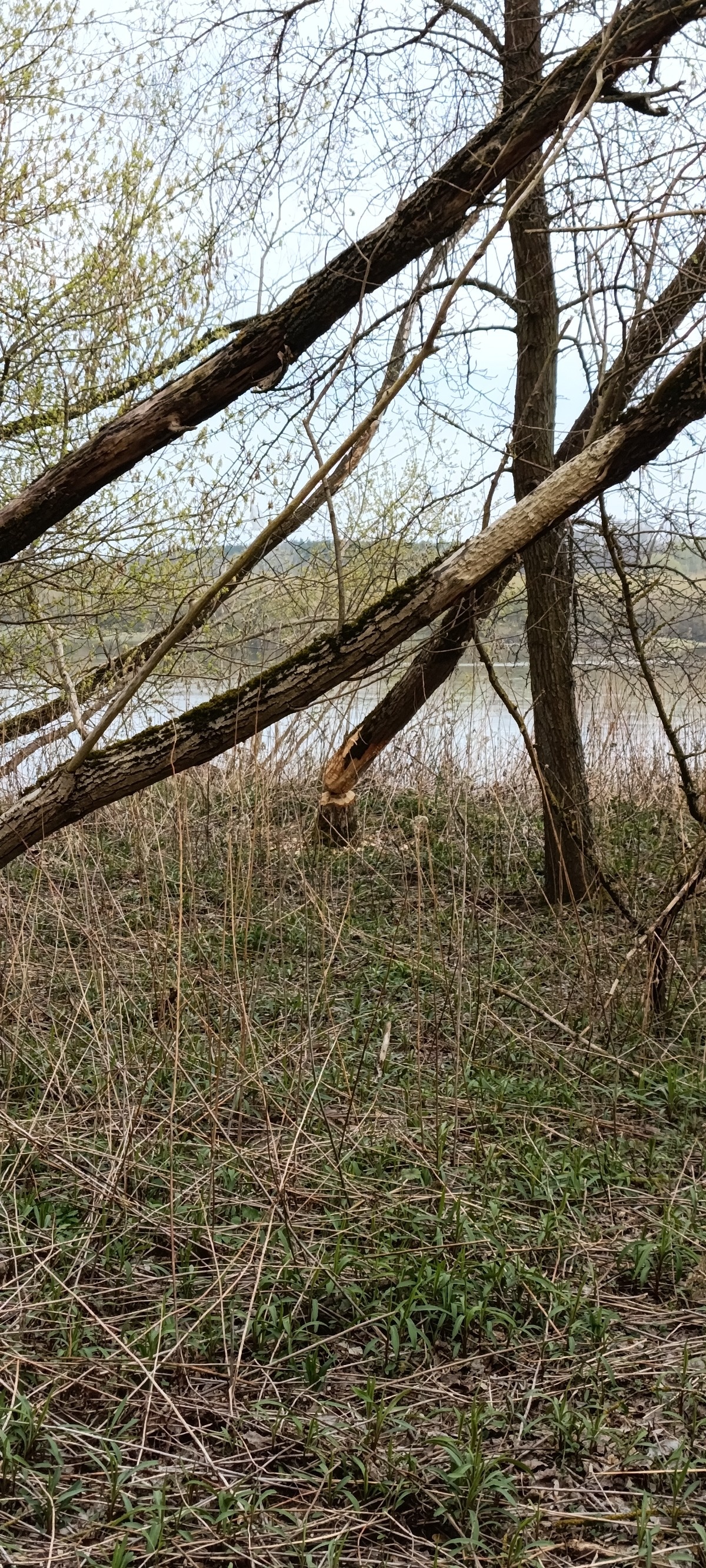 ce11bd1d-72fa-405a-a650-0fc347032056