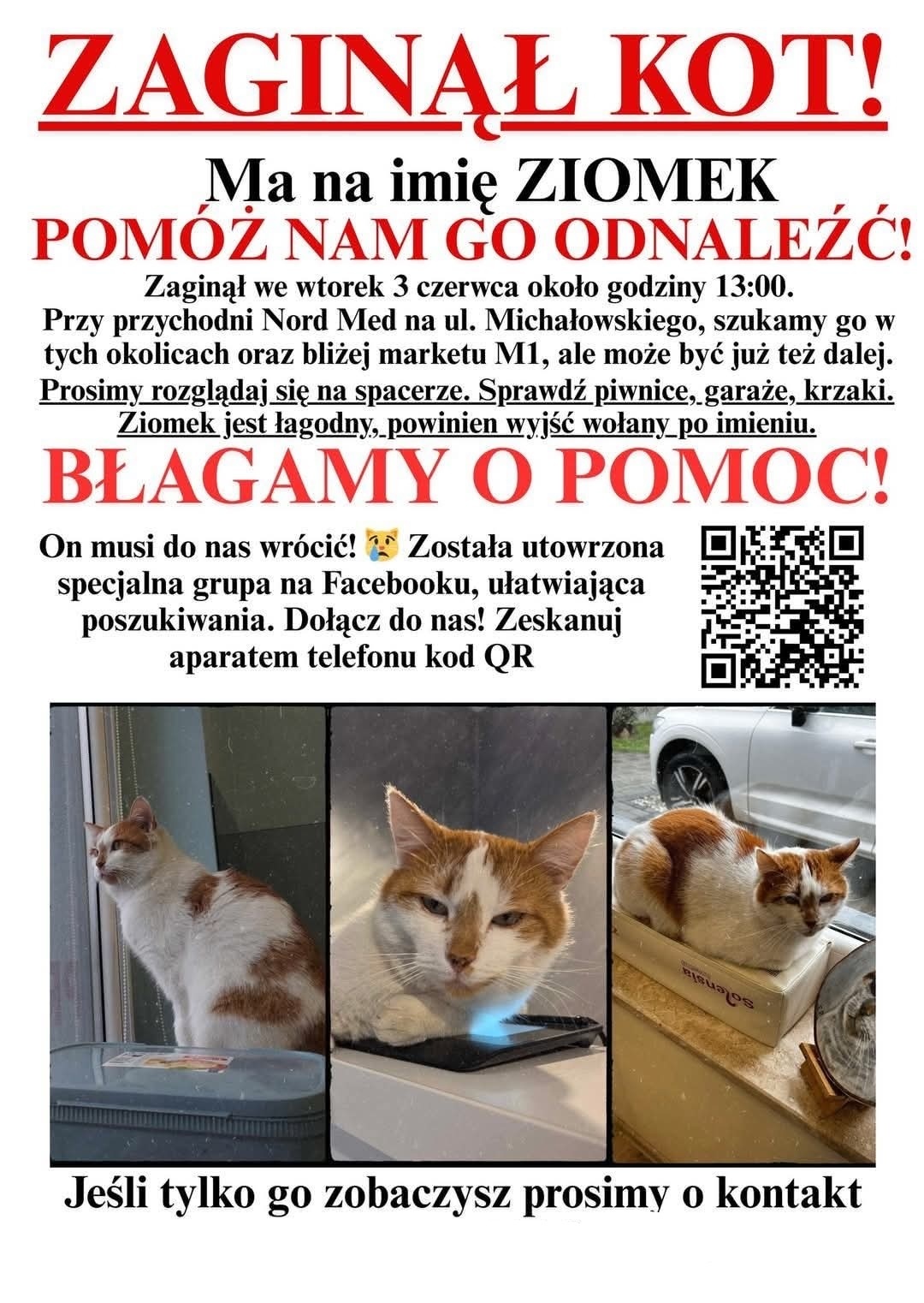 d51271a6-f94c-48dc-b135-39f324e609c2