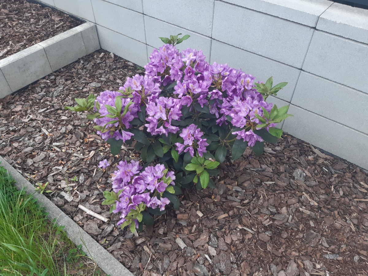 0158561f-6020-40fc-ae21-ca2c83db5ecc