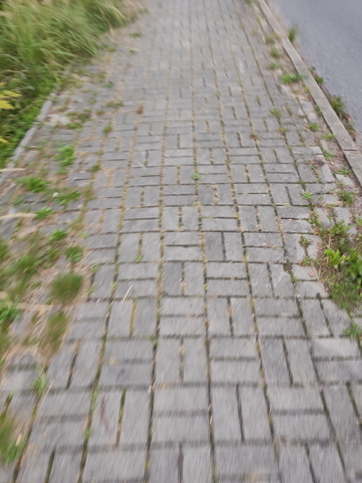 892d09a7-ba5a-4962-a29b-a6f266e8681a