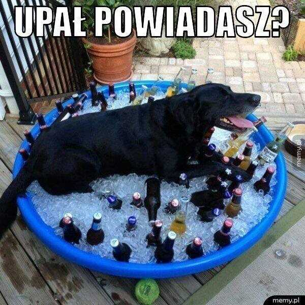 63993963-e3d7-43a2-a346-75daa0c09b7e