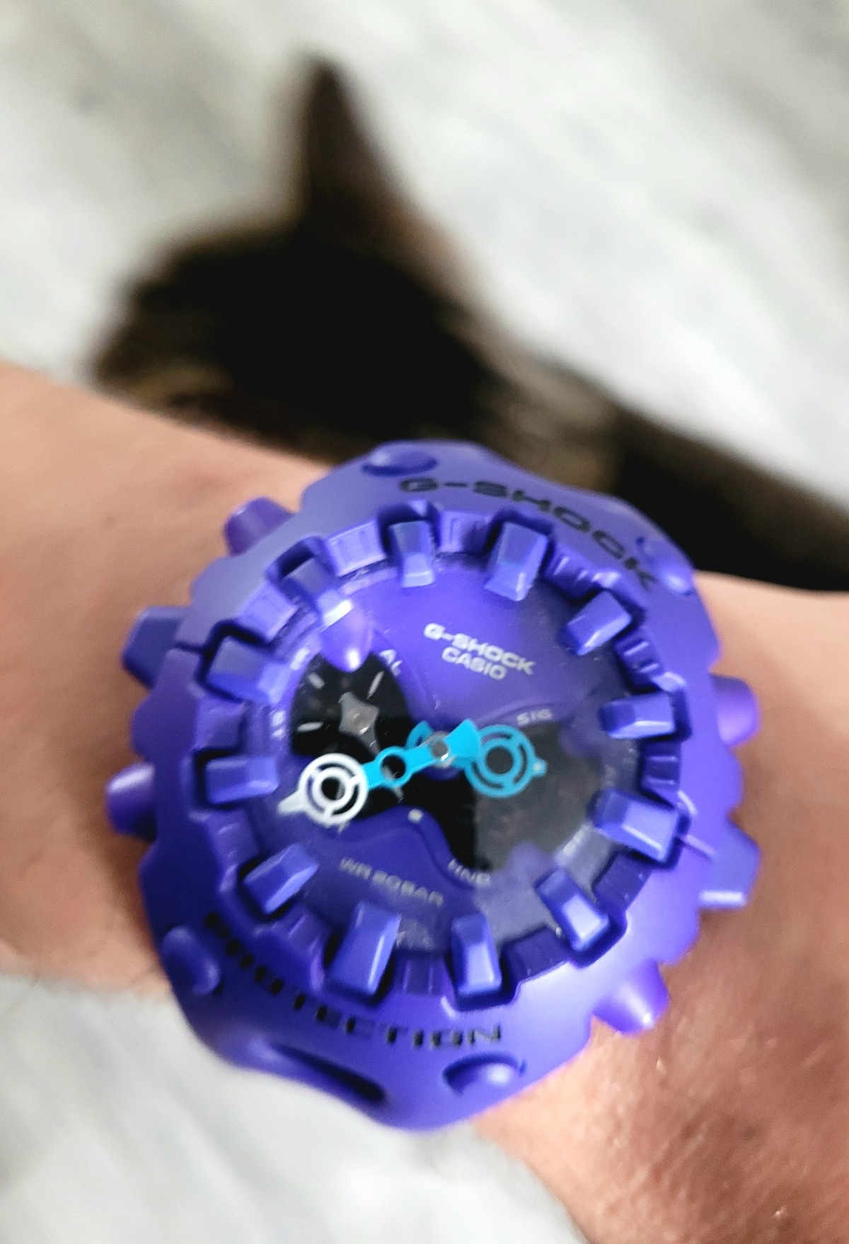 2105d6a0-880f-40b9-815a-1caf36901489