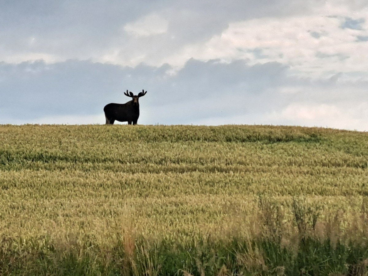 2a4c5e4b-5f1f-4866-8e86-06a8f37b4442