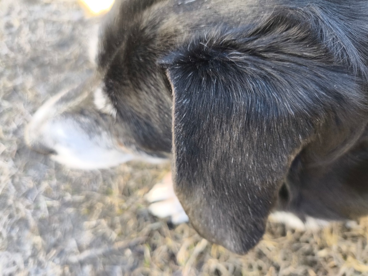 3154ed99-ed6e-46a7-92f3-2120d5d39e6d