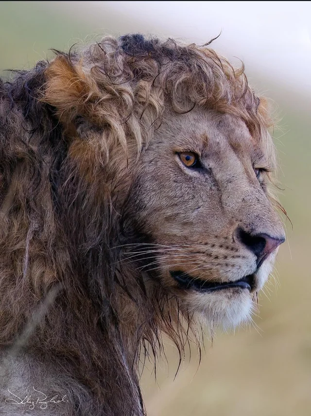 3f098bfc-95aa-4fe5-a0db-286a31ed0a08