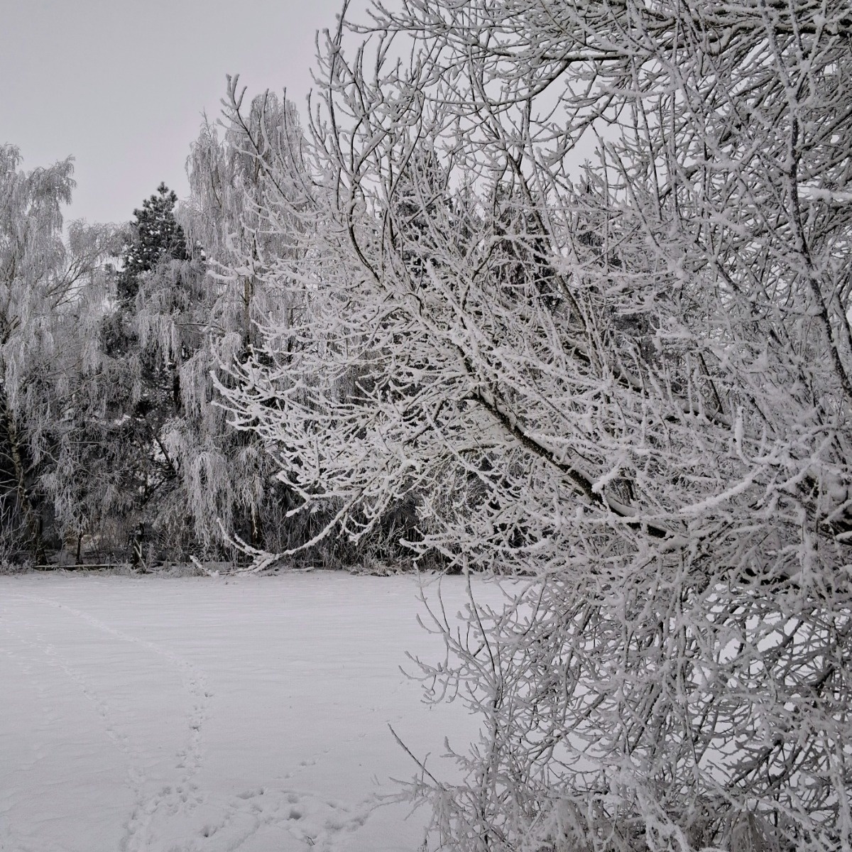 a6be384b-c52c-4fba-8d6d-429b74d4b3d4