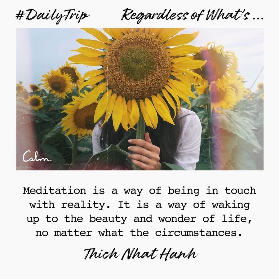 ae94ccc6-d5ef-4951-941c-8973d3e38a5f