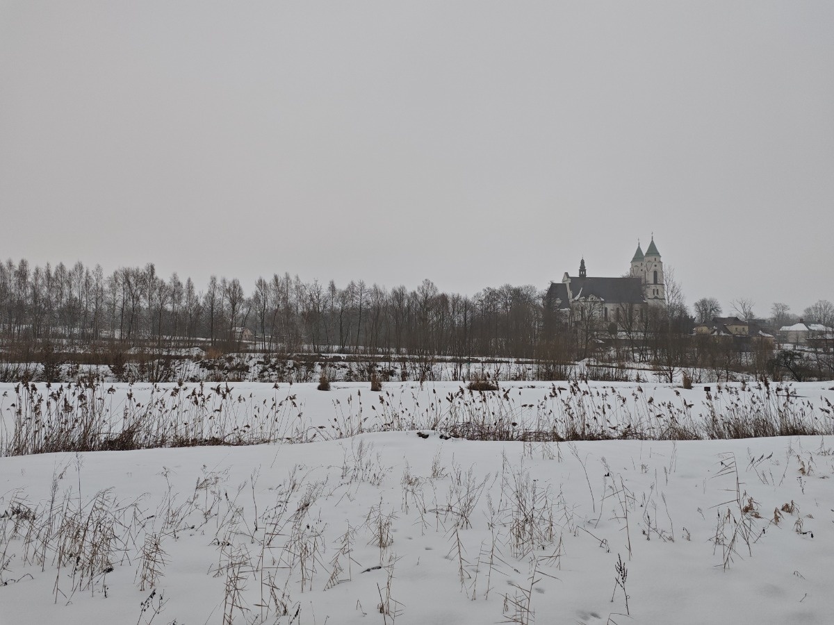 bc5a080b-2509-422e-826d-e6c149320a89