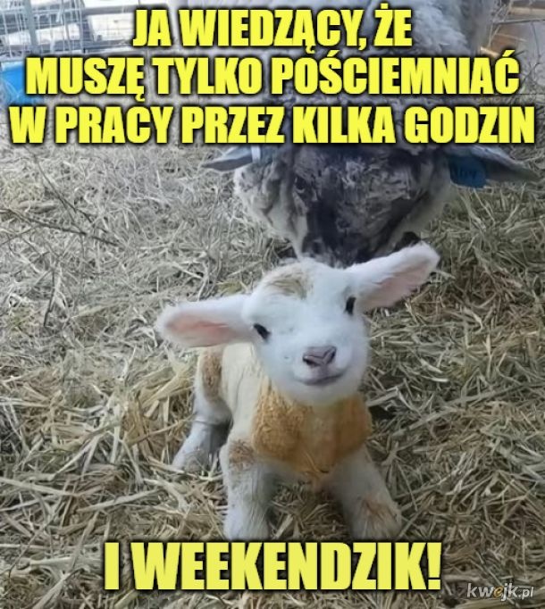 18643d0c-7395-4797-ba40-f399cb59a0fe