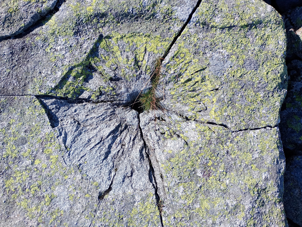 7f592241-8861-4a69-bfc2-8a4626abcc2a