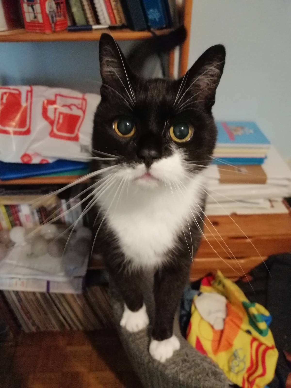 96a06abf-a4ed-48c4-9cb8-a2ba21f81510