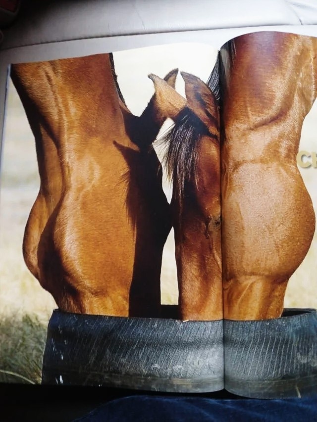 759b2755-d960-4b75-b190-1fe9a59832b7