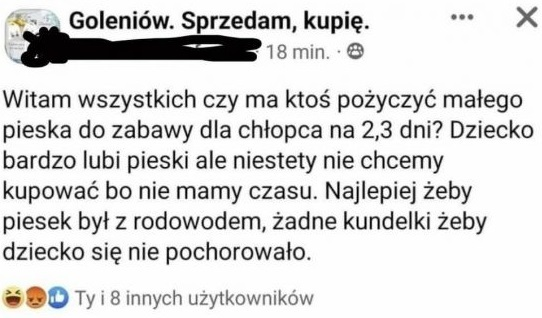 13e43667-e4f0-4d3e-a7cf-42278e68fff7