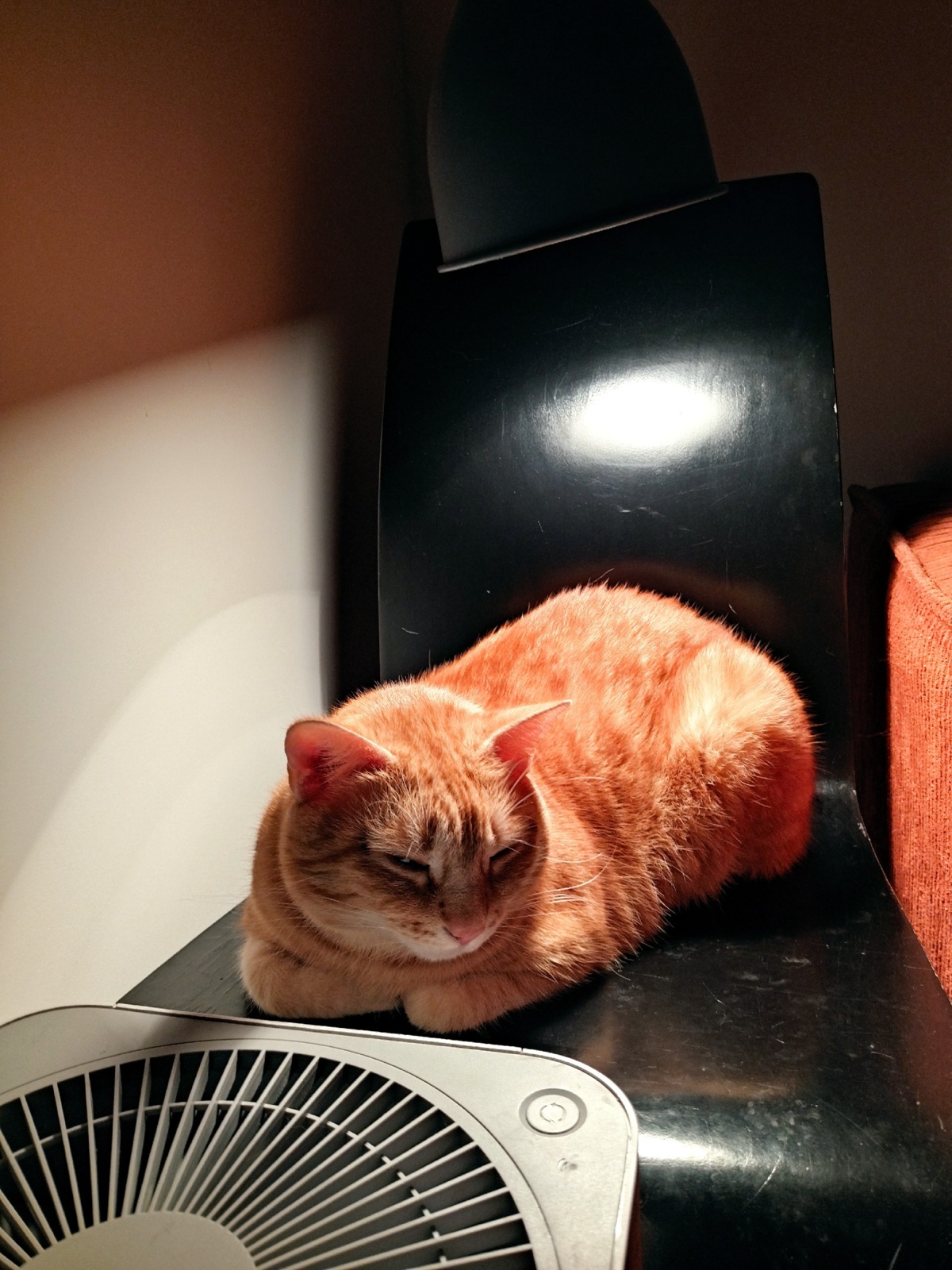 3d1aacff-fc99-42aa-9797-0c1772e3bf67