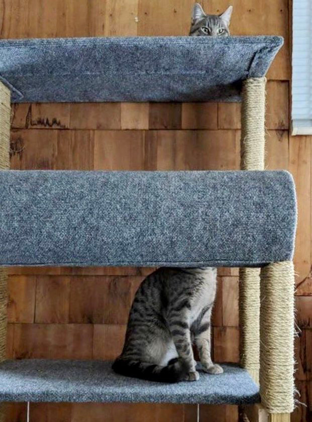 3f6d940d-3e42-4f87-940f-fc0b29de13a4