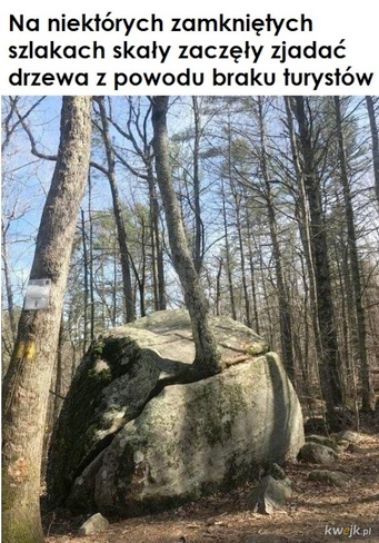 8e9593aa-f026-4b4c-9406-1217e7f31354