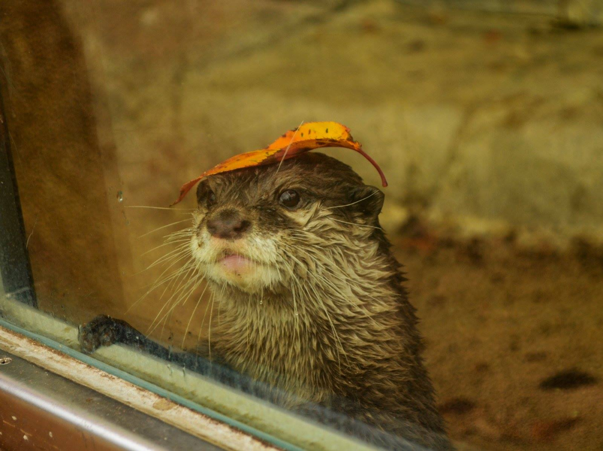 b6088fb2-ab88-40fd-b734-002ebb08d671