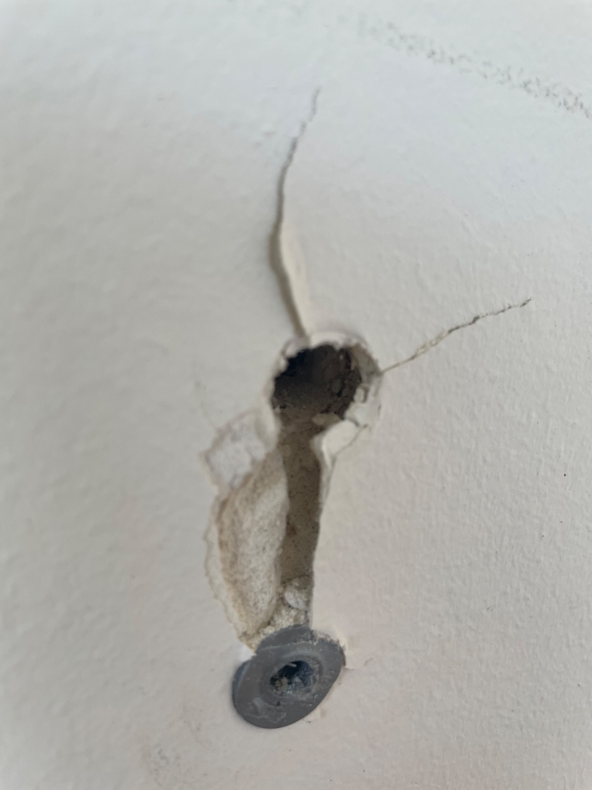 b98a7bf2-88dd-4419-bcf7-f2161e904036