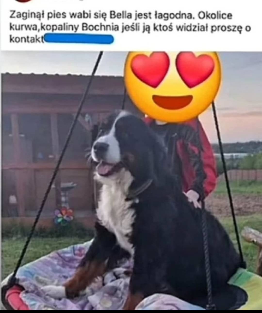 2a55ff02-7729-4c51-970c-0421fe5b1aba