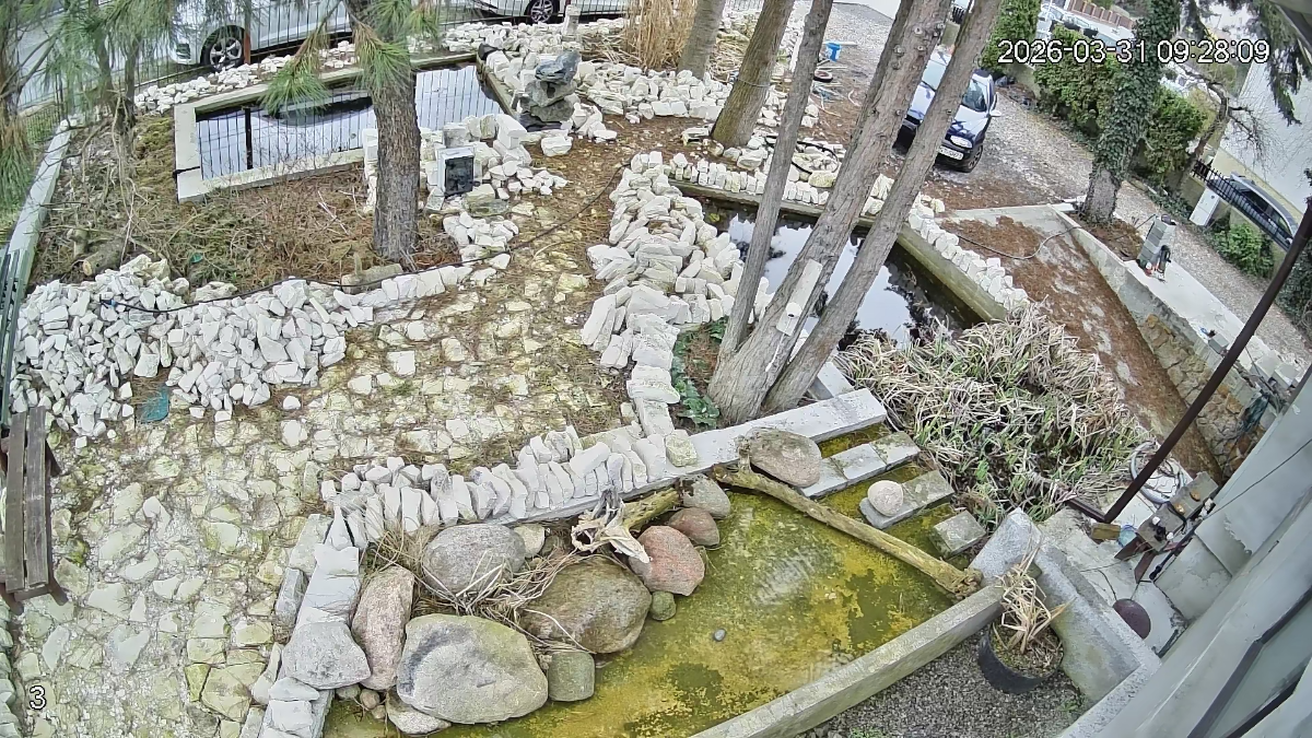 acecaf9d-0fe0-40c4-bb99-90d3c9921cee