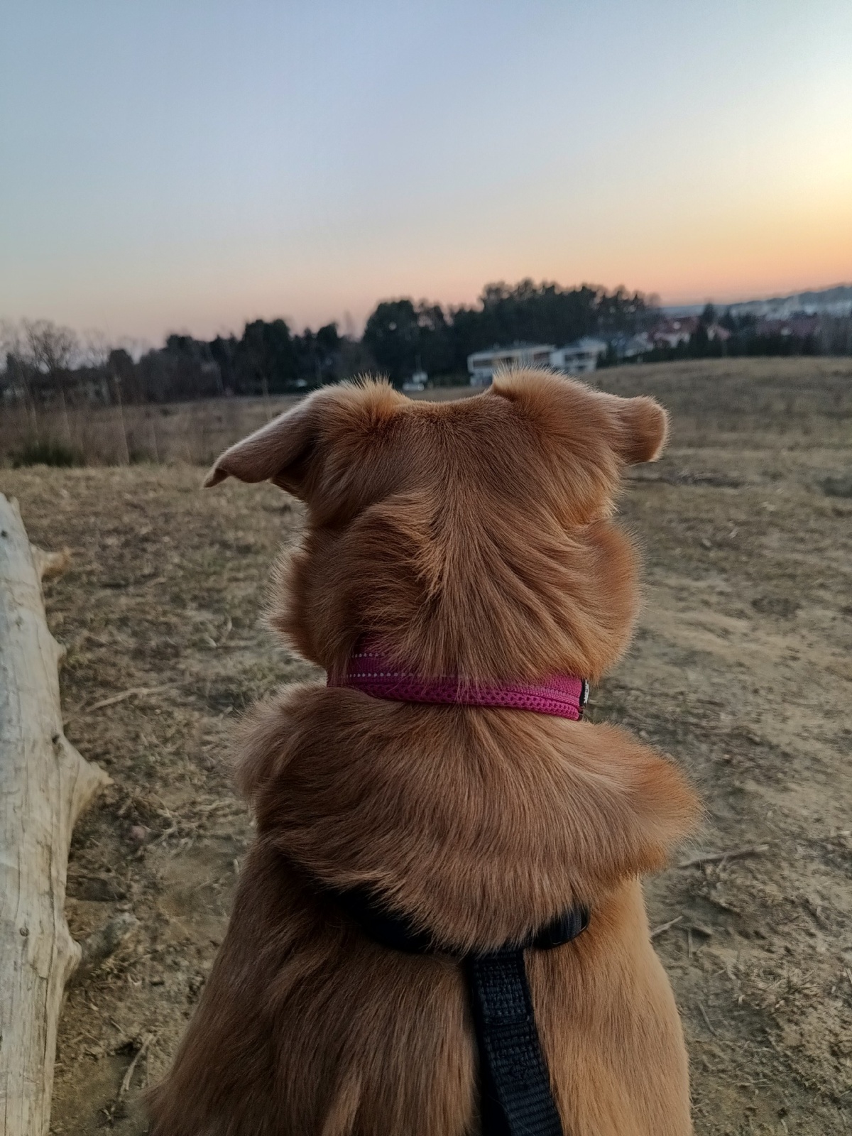 c0b89dcc-2752-4c17-a38c-1ddb7b116208