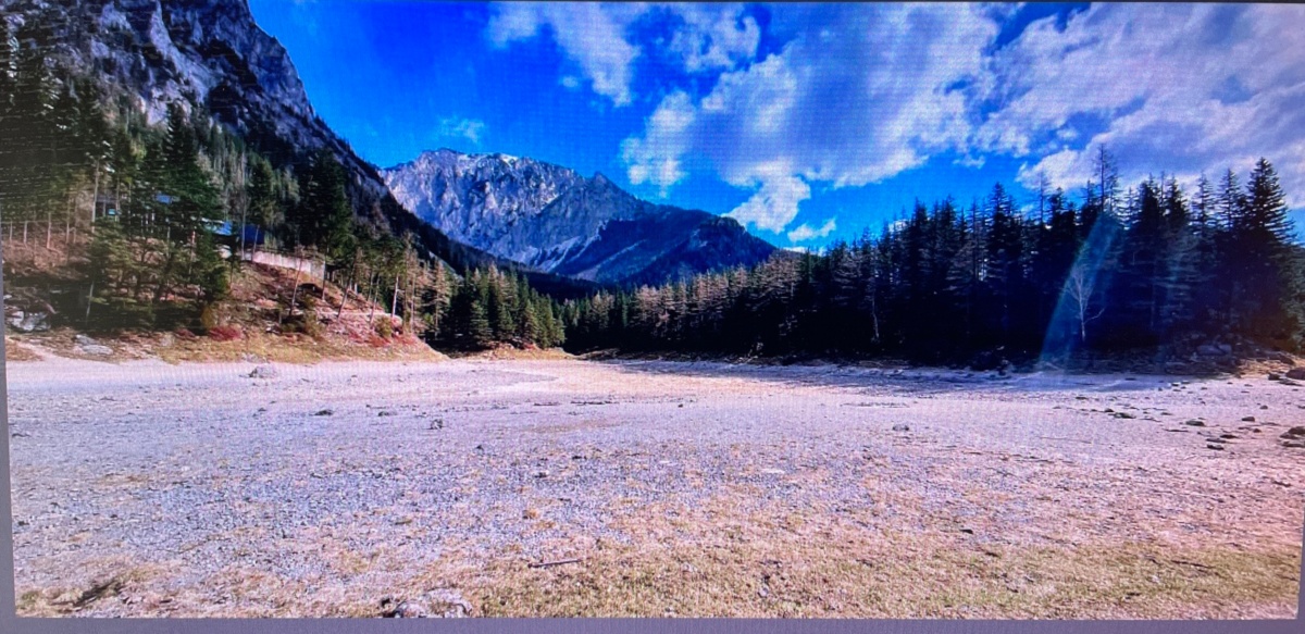 9a2156ea-9466-4e5f-a17e-7b0dff6f3fce