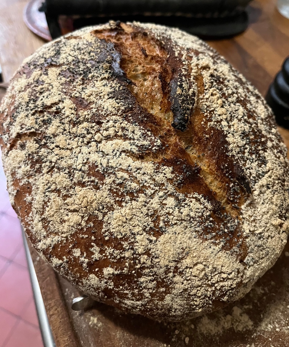 25061eb0-6d51-43f5-973e-4e9f64302b5f