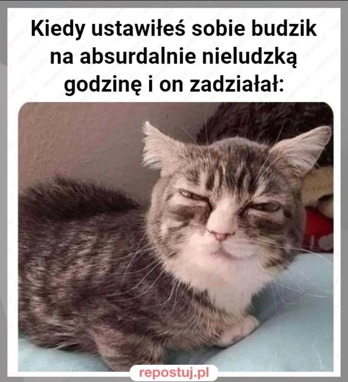 69c6bfd9-28ee-4532-a5e7-e099c8375a32