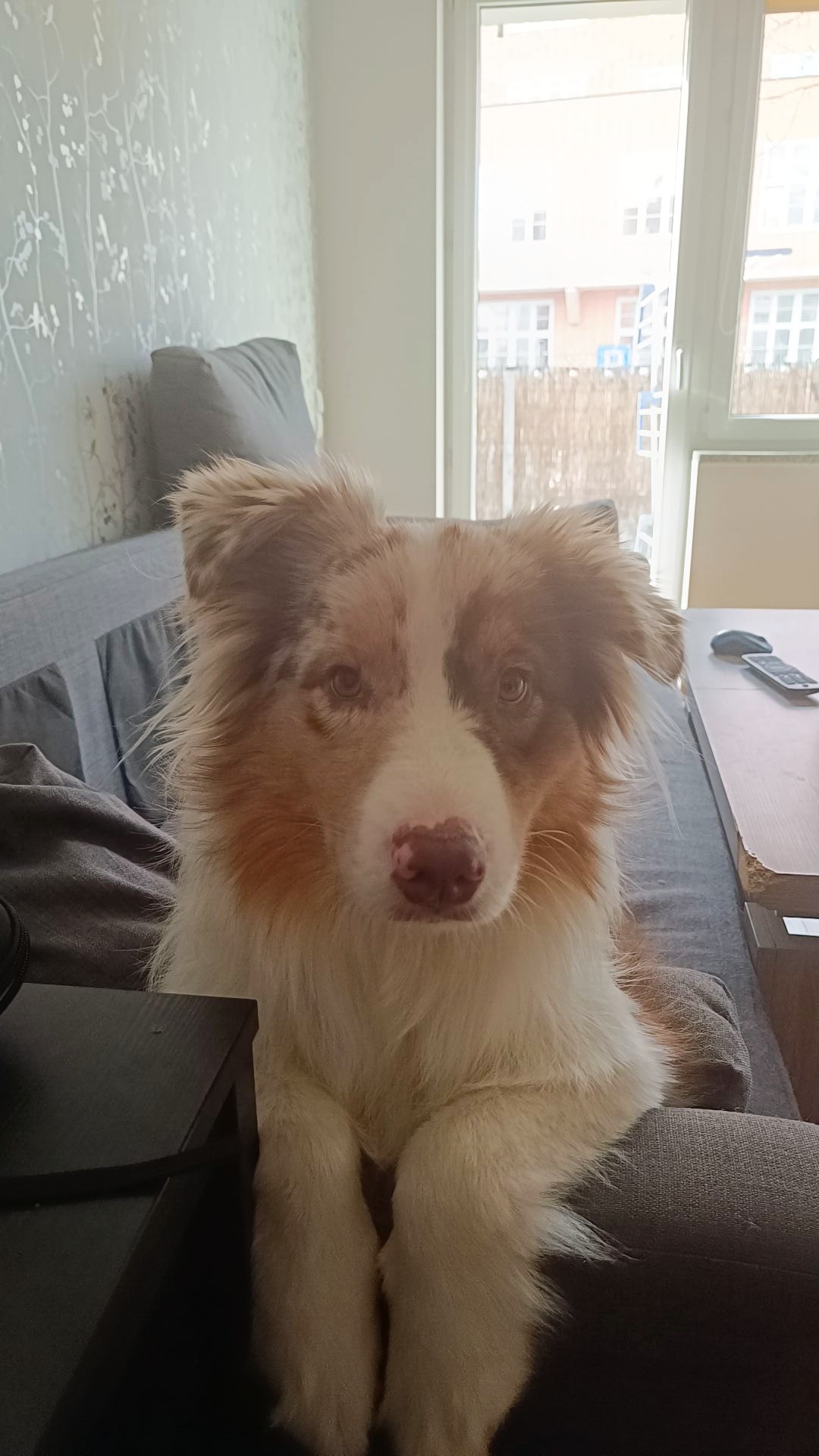 5dabd005-ae9f-4305-8bd4-ec97df201bed