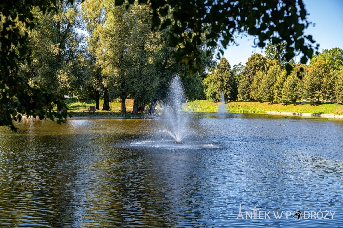 85cd36c0-f1c0-49a9-8ef8-f1012eb9ebe5