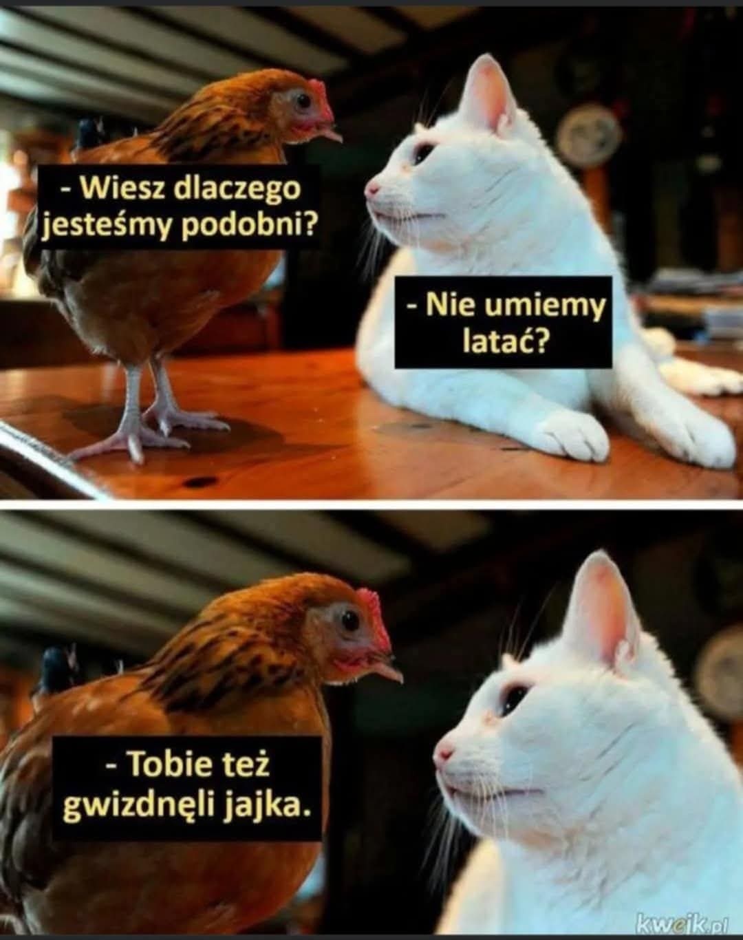 3d08c0ab-5737-4ec9-9871-f078c31faa7c