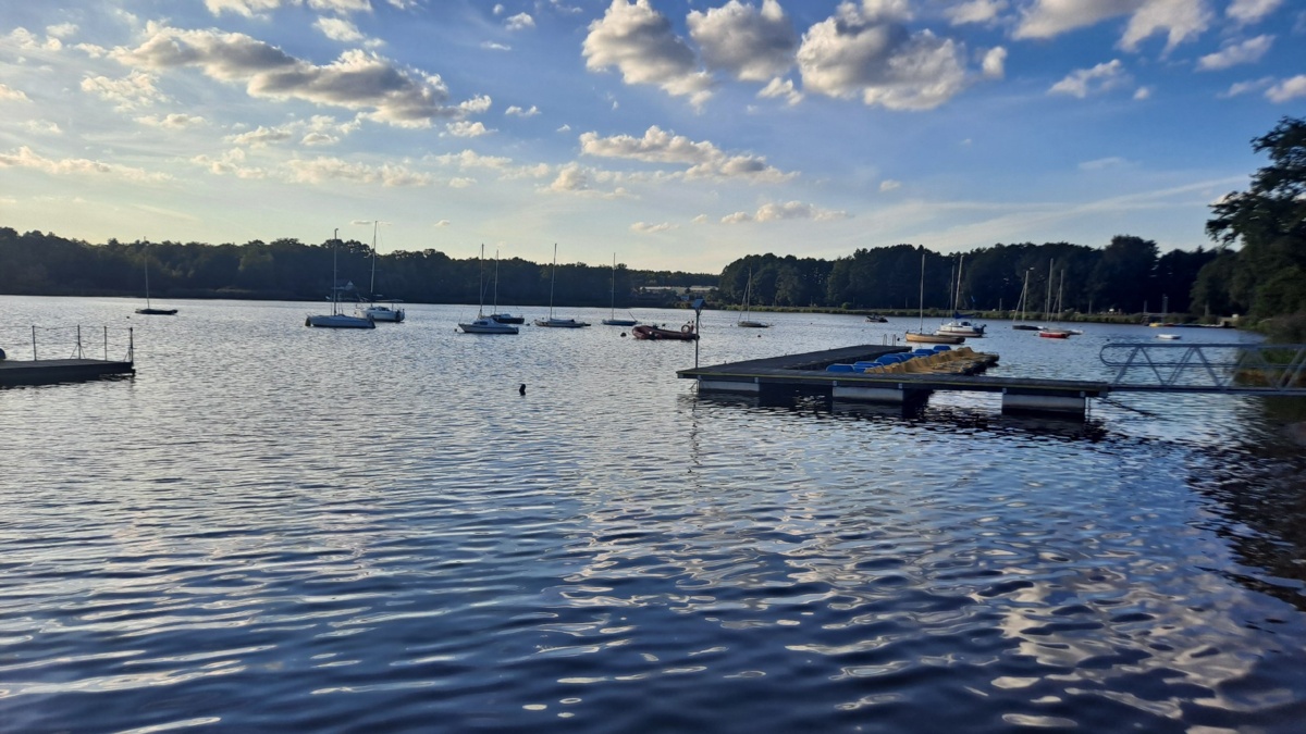 50ff2d18-6ce4-4952-ac5b-8ad8ee1bd0ac