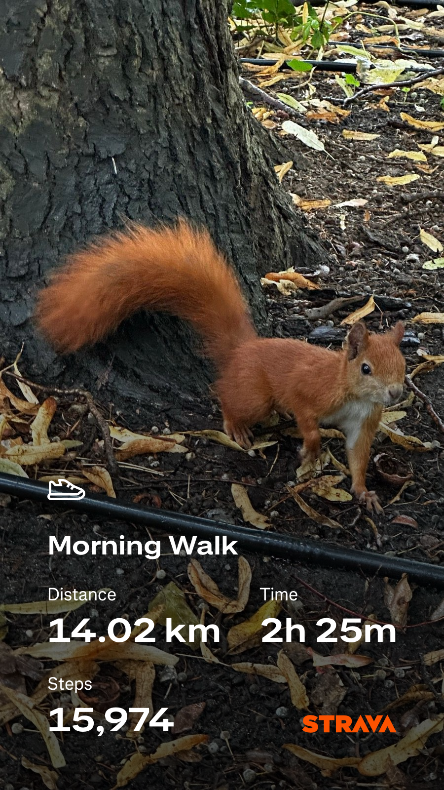 2eba4b77-d01c-4bf7-96c9-6faa7a7fc547