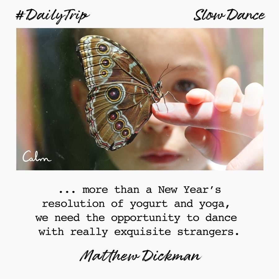 844ca577-3dc0-4d09-b964-d38ffc6ab0d7