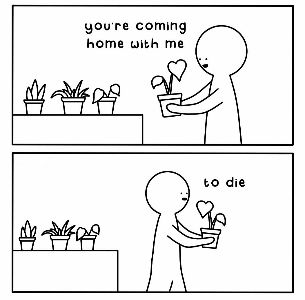 968810a3-1103-4d97-83ad-9786b49bac82