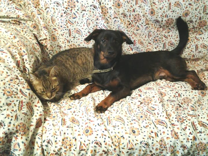 2e08a77f-198c-4626-a055-b851150aa460