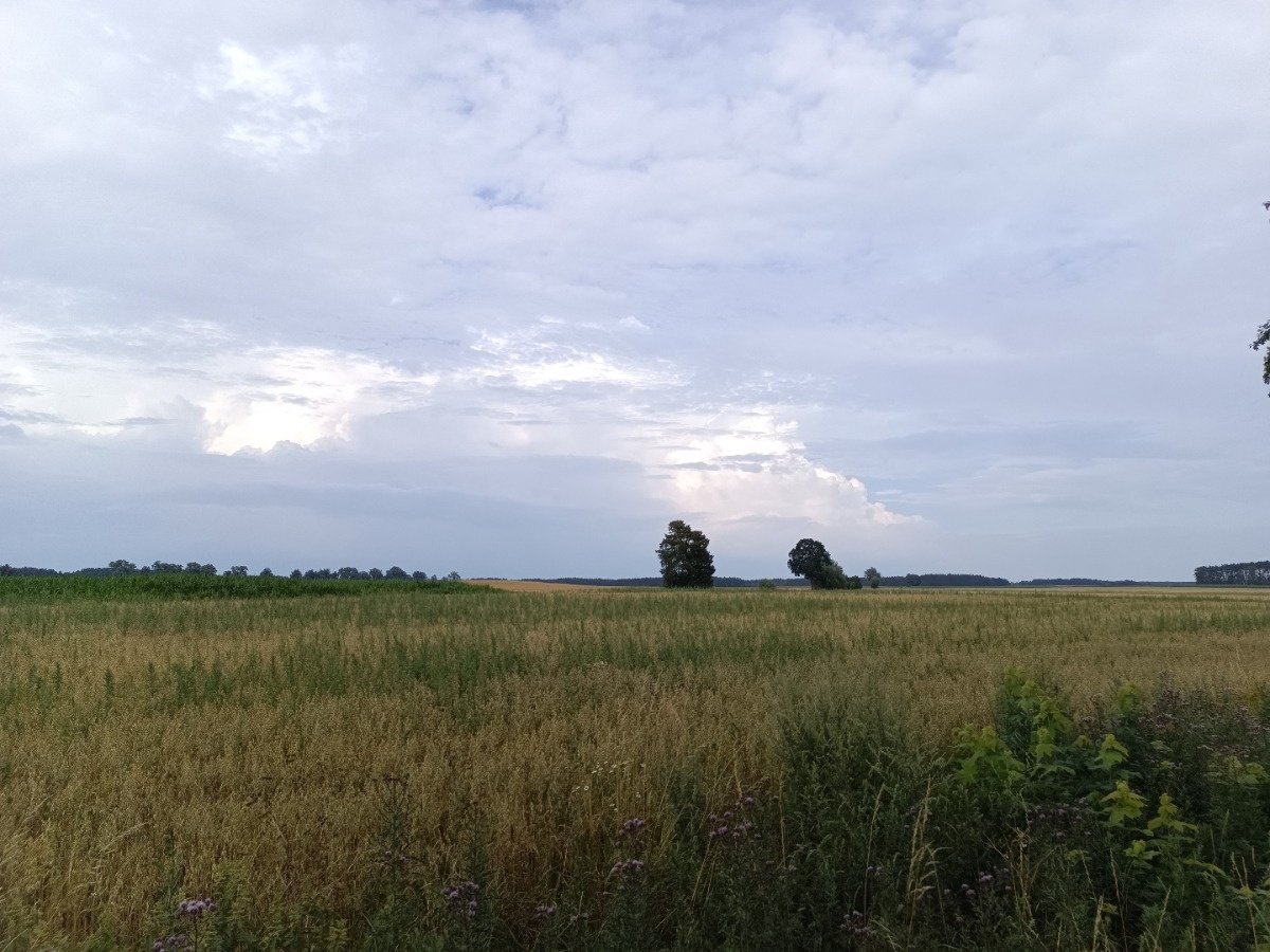 c12c7ce1-53cc-446b-976a-0d885b49ab29