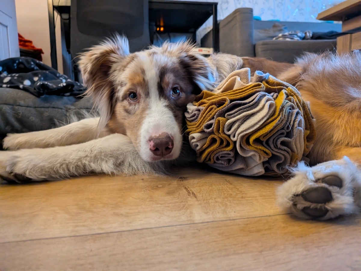 ae0b832b-0e8c-49fe-92f2-79583810269b