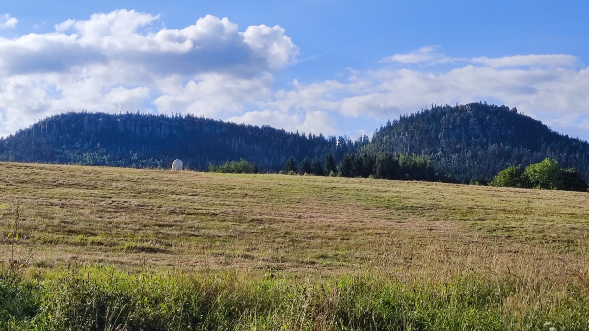 77d39ae0-6292-41ad-815b-0ec50b3753e3